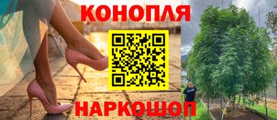 амф Нальчик