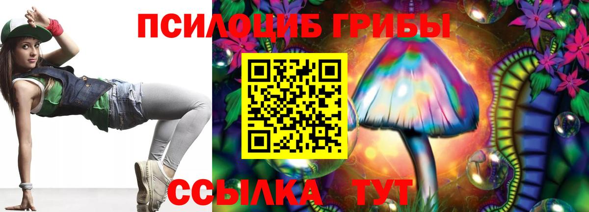 Калуга  Псилоцибиновые грибы Psilocybe  купить наркотики сайты  Вход с VPN 